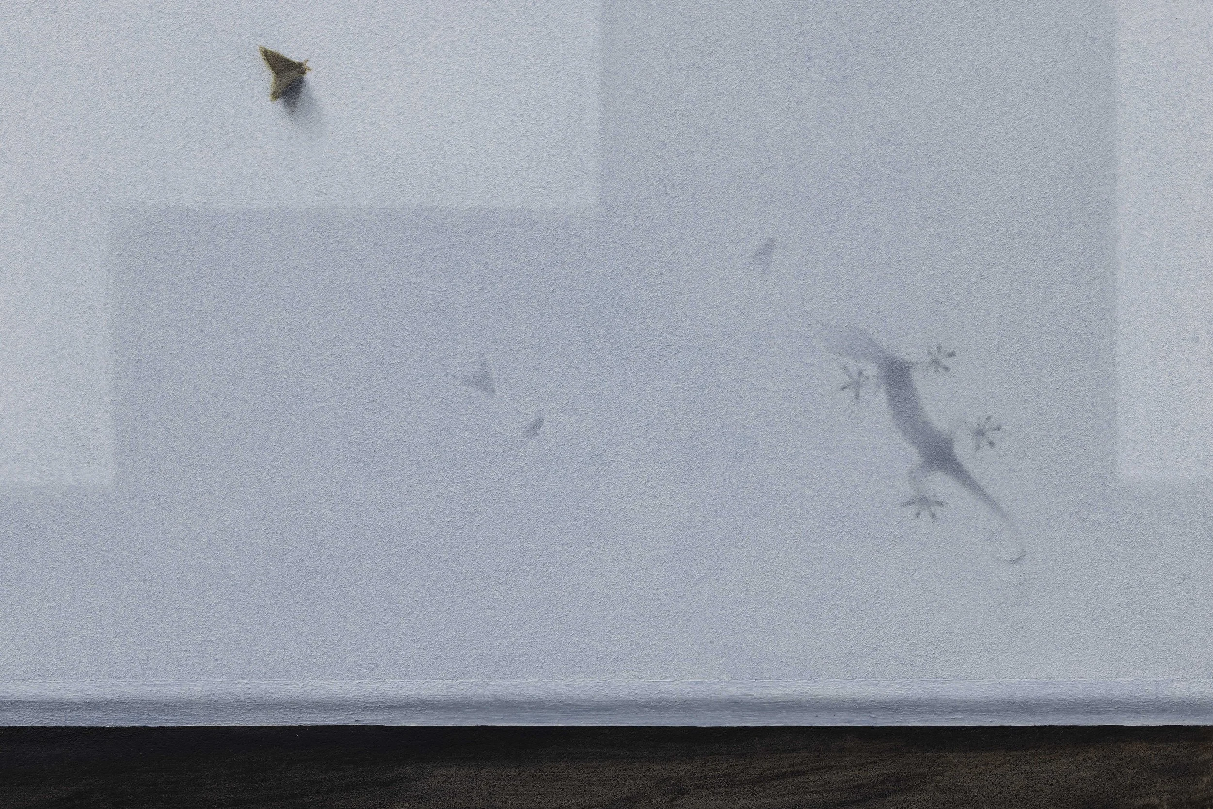    O Canto do Trovador   (detail), oil on canvas, 152×122cm  2026 