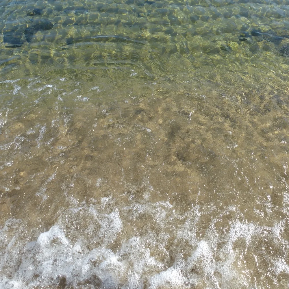 P1030570.JPG