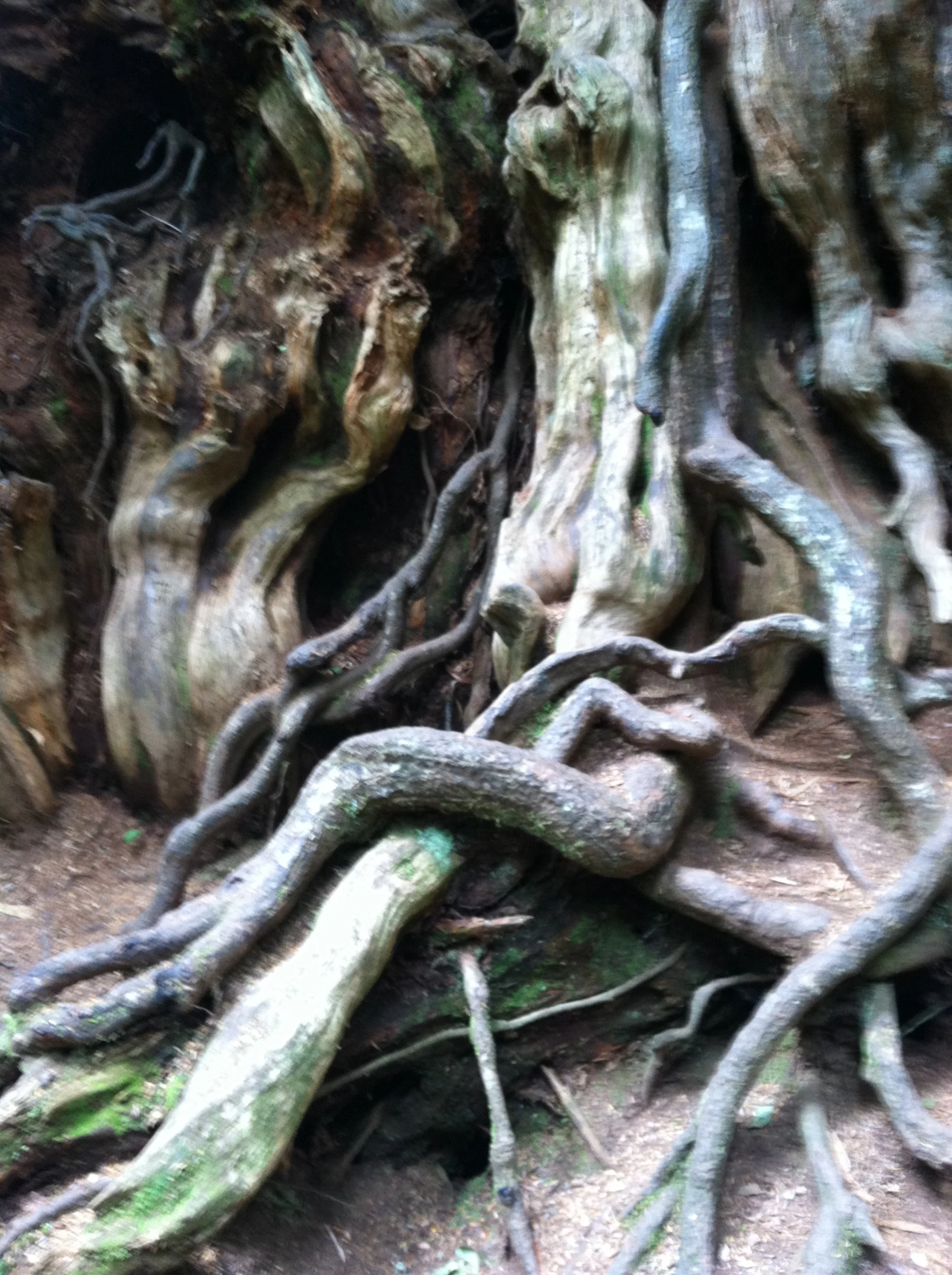 Indianapolis – Broad Ripple Knits