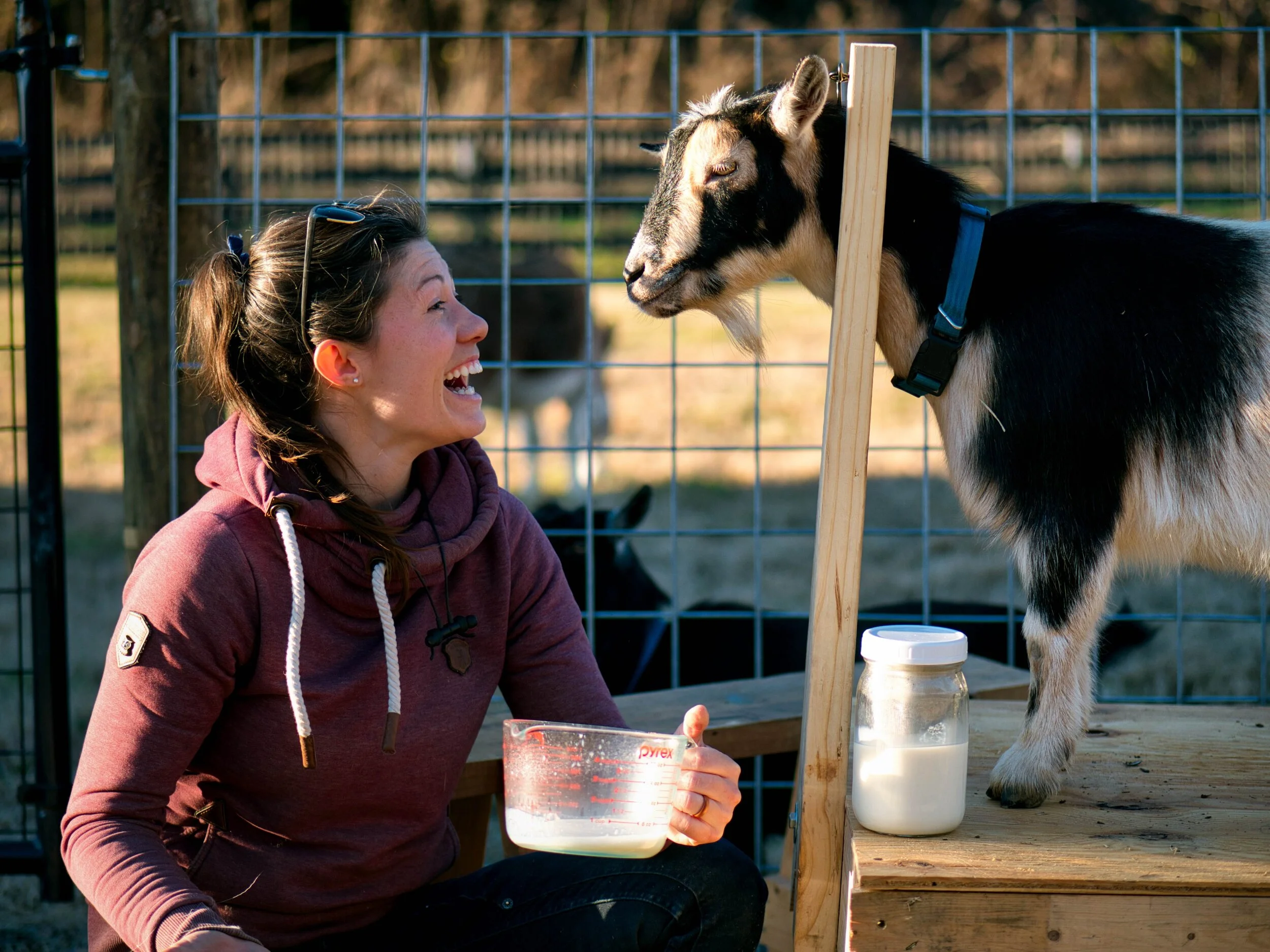 DIY Pallet Goat Stand