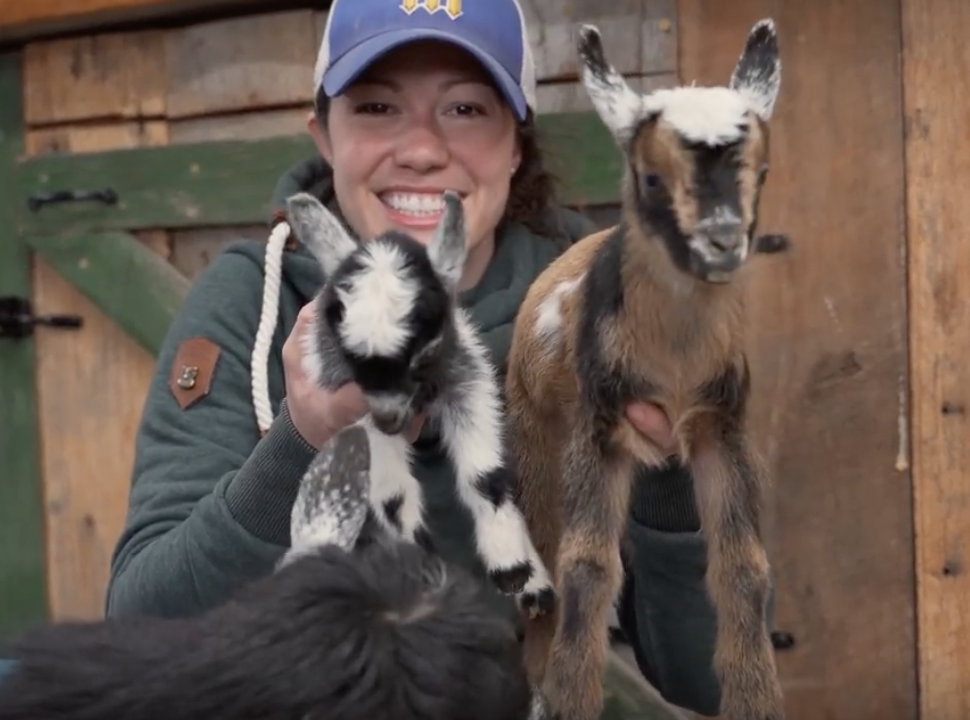 World's Smallest Goat??!!