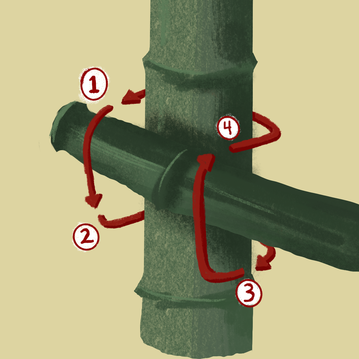 Chinese Lashing How to Make Useful and Sustainable Garden Structures — Anne of All Trades