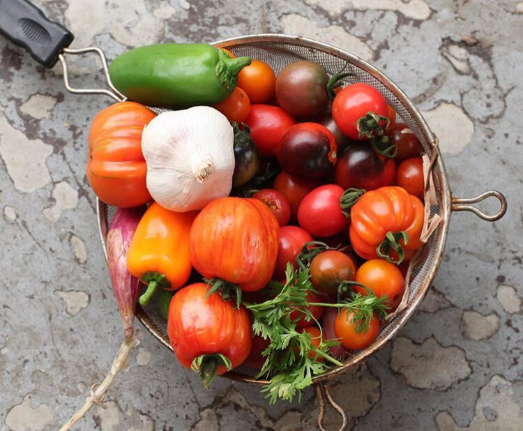 What to do with all this Garden Produce?? 