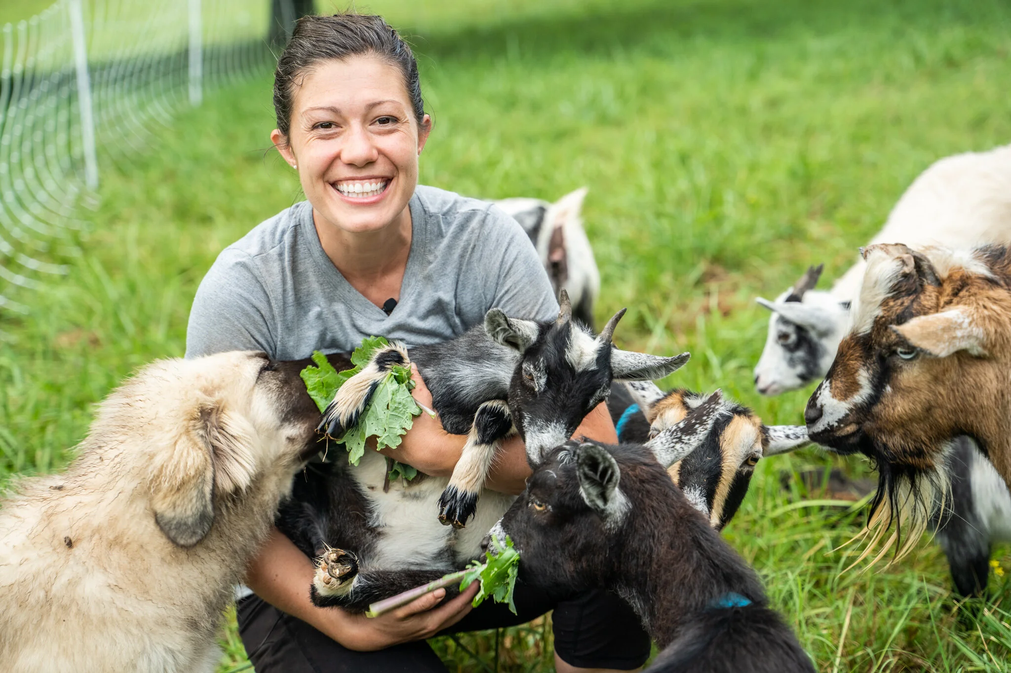 MAKING more land through Regenerative Agriculture