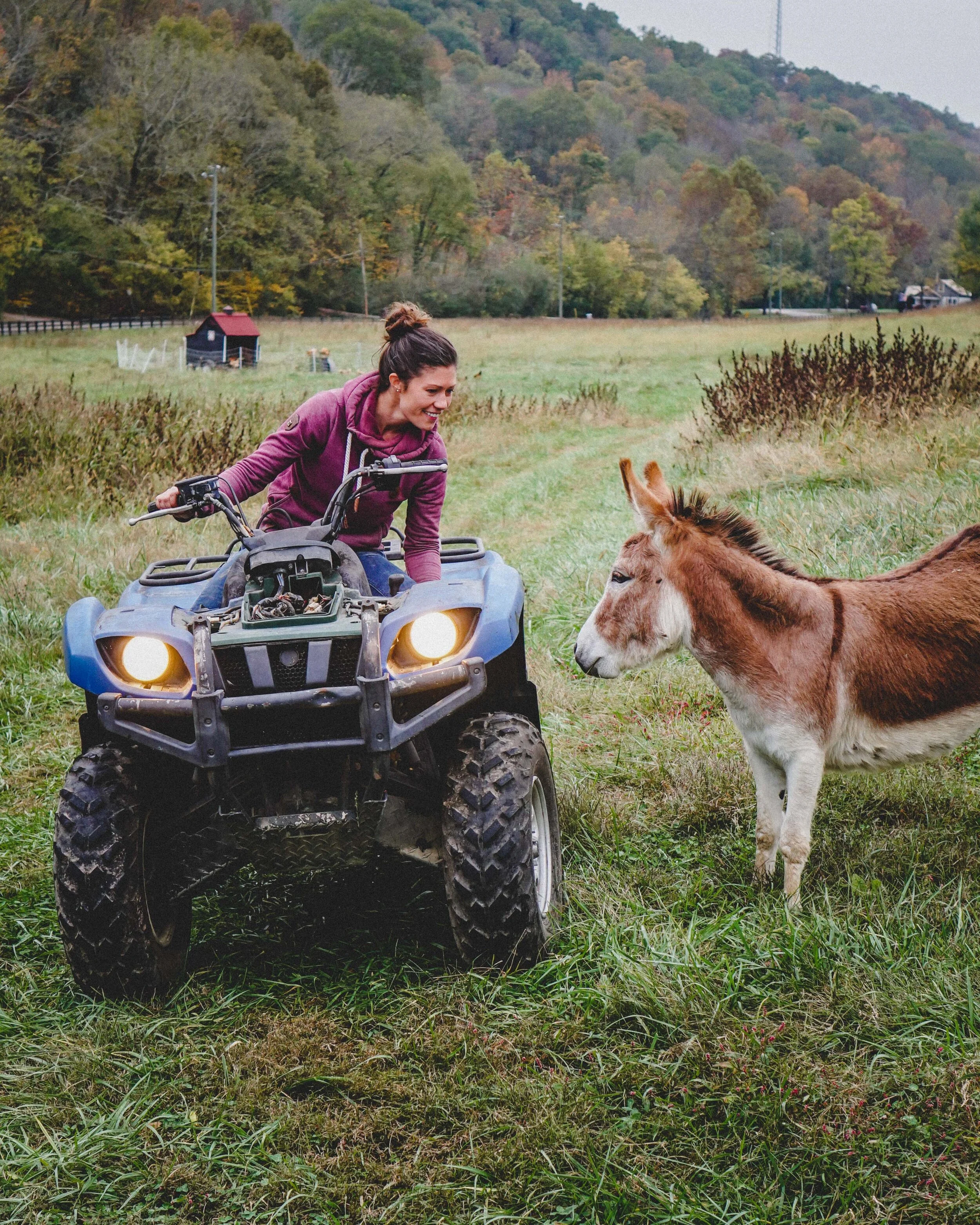 What do a leafblower, a bonfire, and a carbeurator have in common?