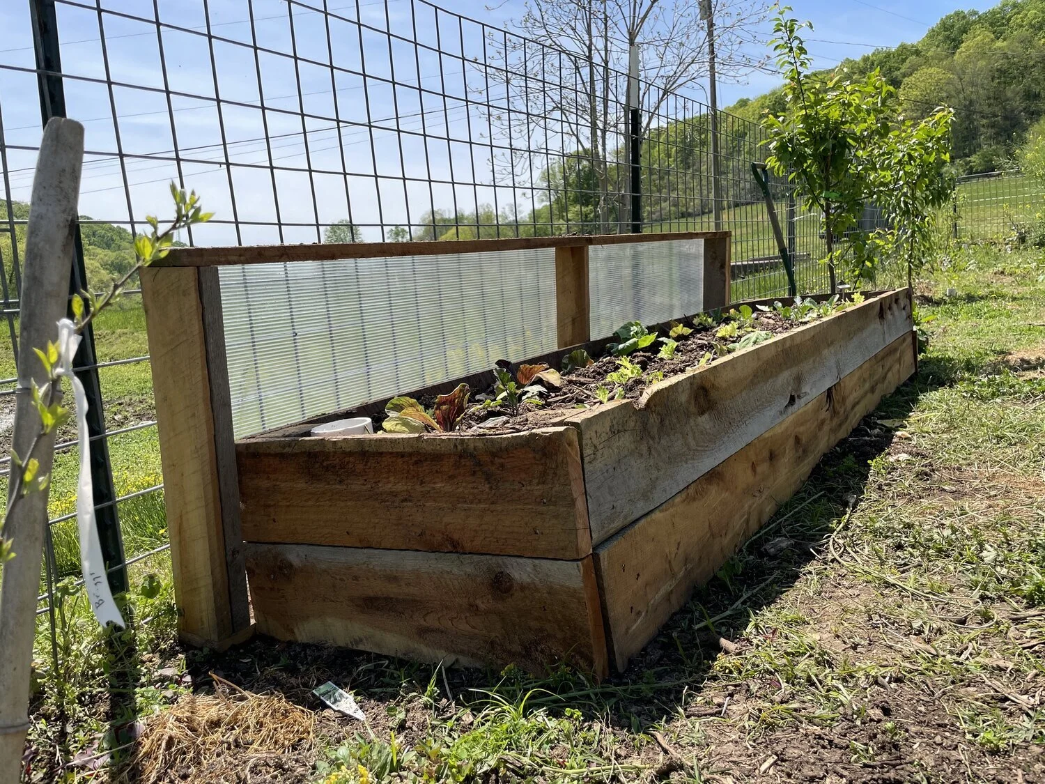 Extend your growing season (No Greenhouse Required)