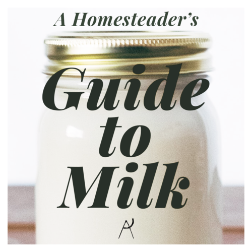 Homesteader's Gift Guide - Melissa K. Norris