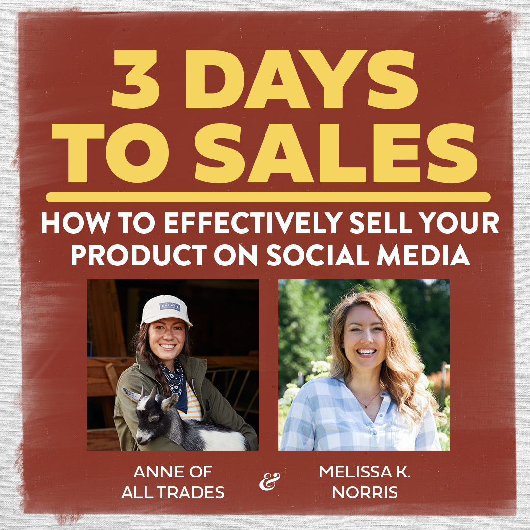 3 Days to Sales: How to Effectively Sell Your Product On Social Media with Anne Of All Trades & Melissa K. Norris