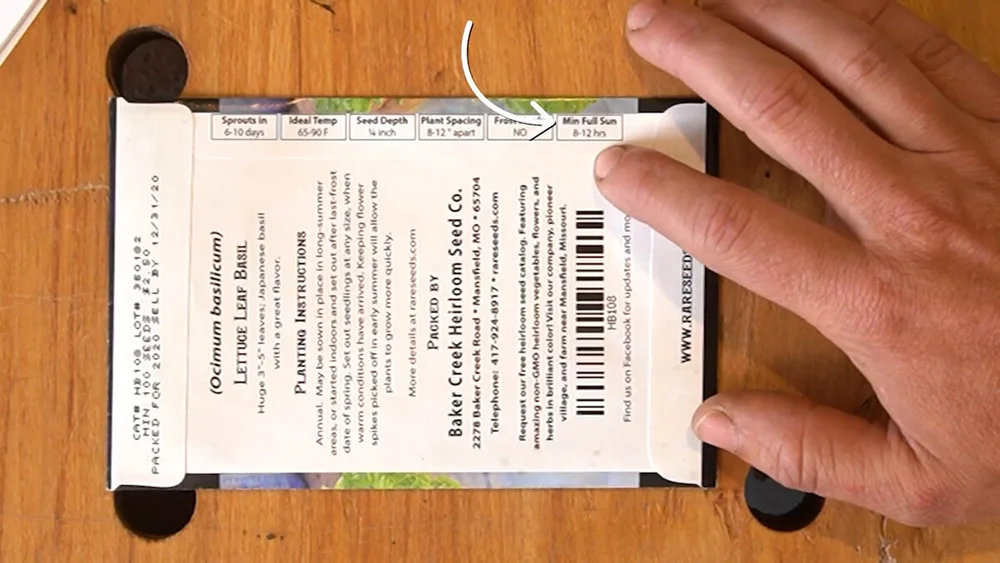 Seeds to Plant in July (Mid-Summer) — Anne of All Trades