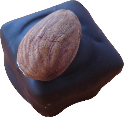 Fig and marzipan in dark chocolate with a perched almond