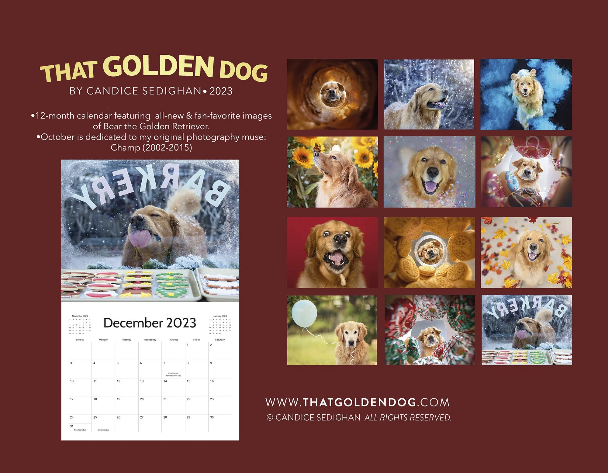 2023 That Golden Dog Calendar — That Golden Dog