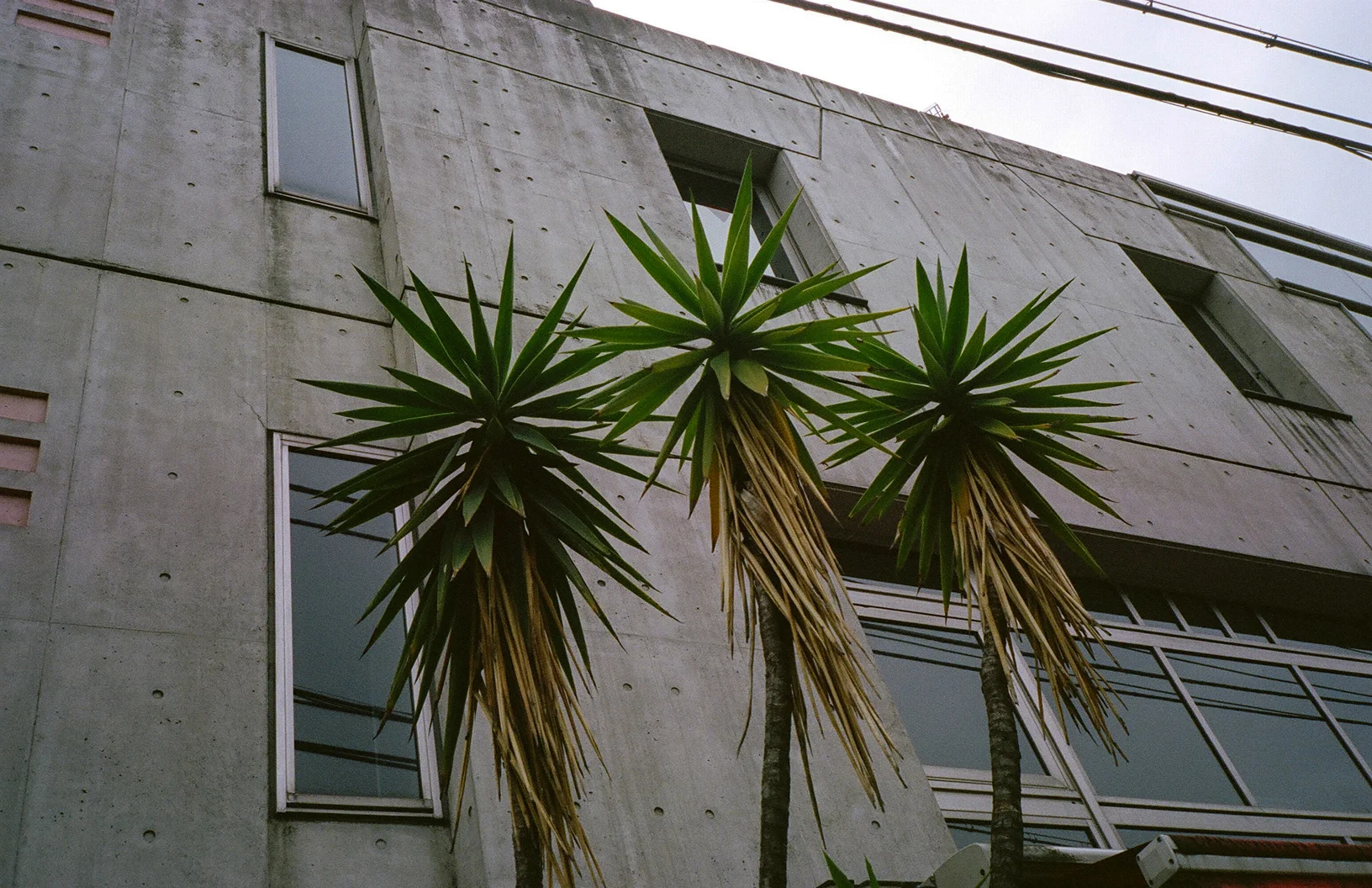 Tokyo Book_Low Res21.jpg