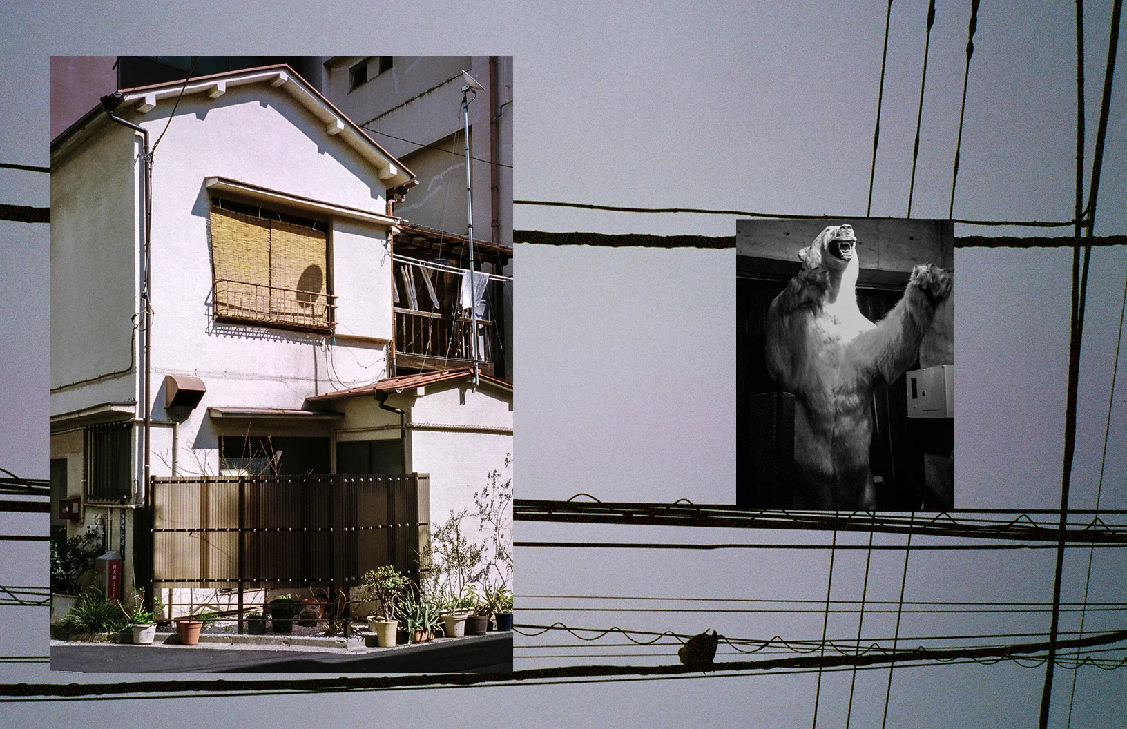 Tokyo Book_Low Res24.jpg