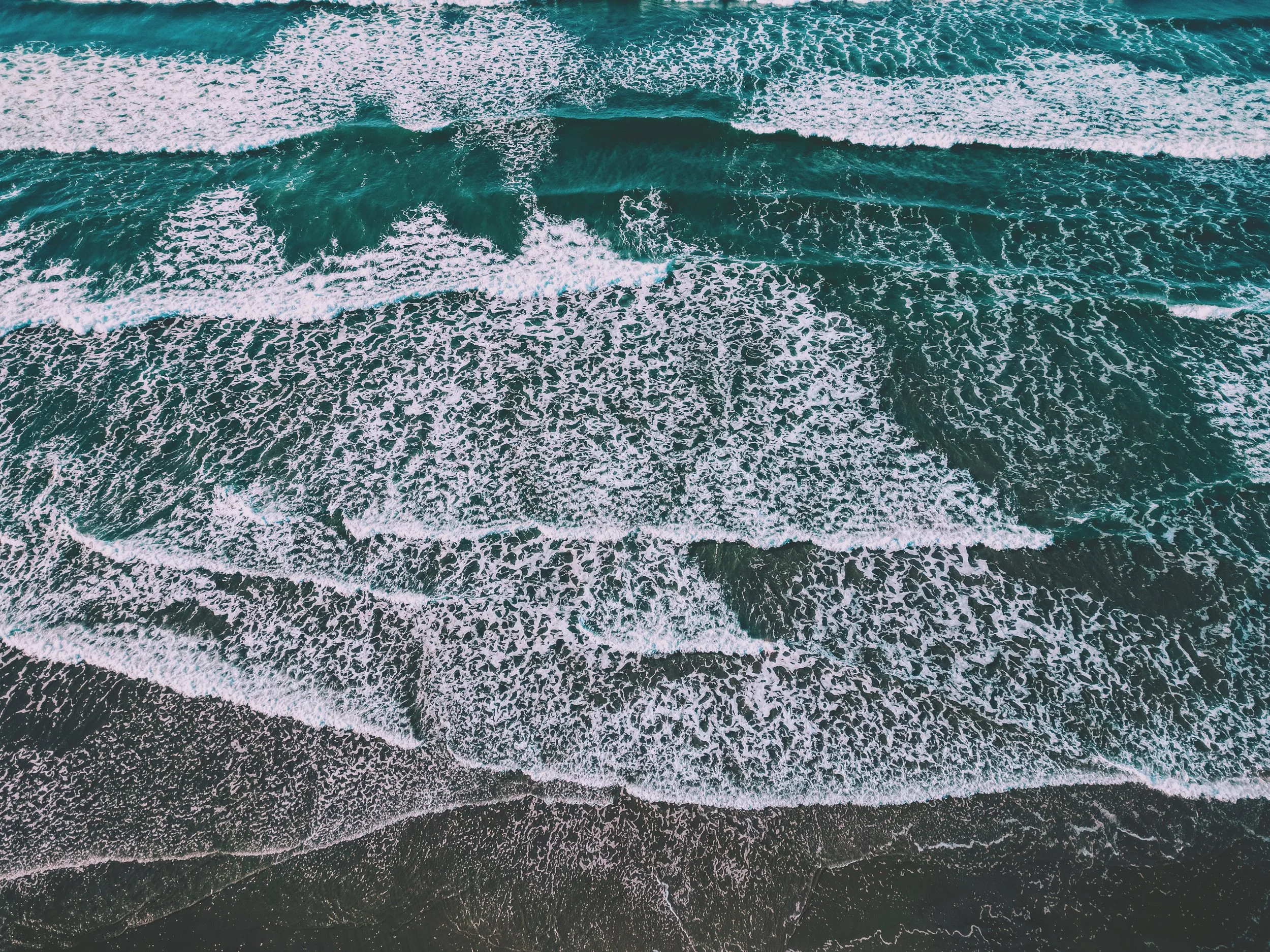 DJI_0100.jpg