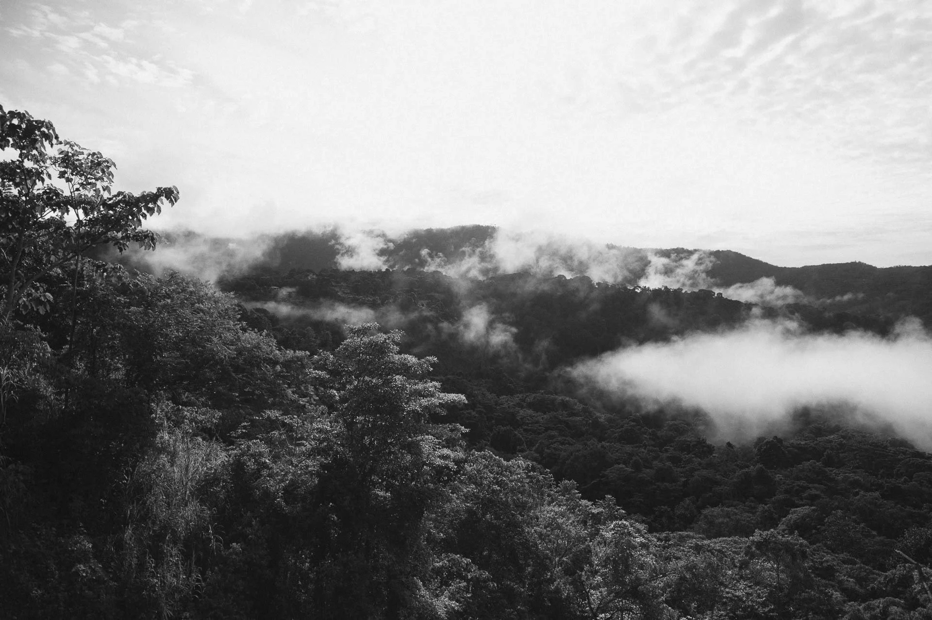 MARLEYMagazine_BenjaminSamson_Kinza_CostaRica_K24-17-1920.JPG