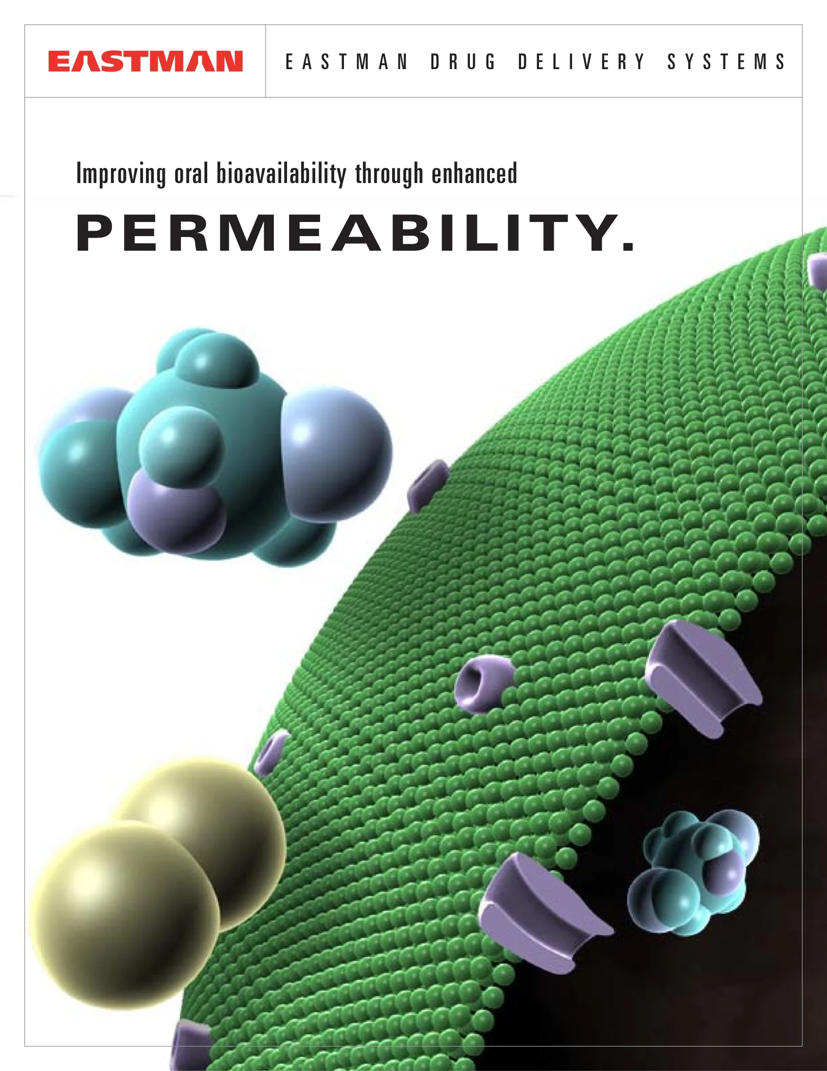 Permeability-1.jpeg