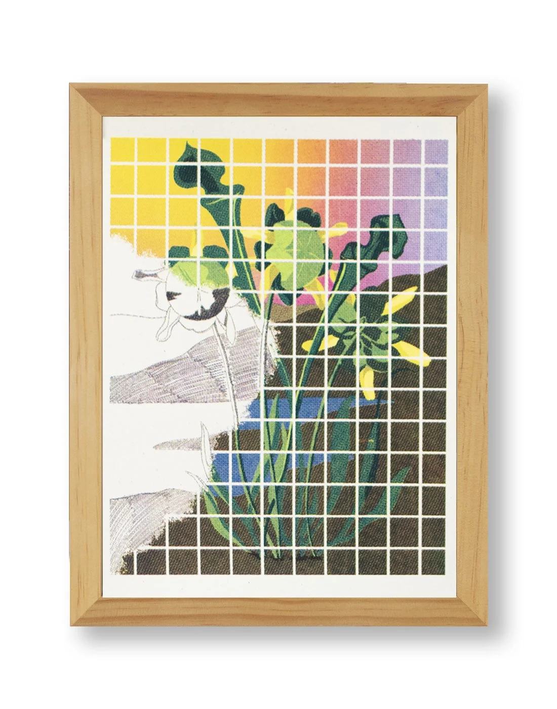 STUDY 6 FRAME.jpg