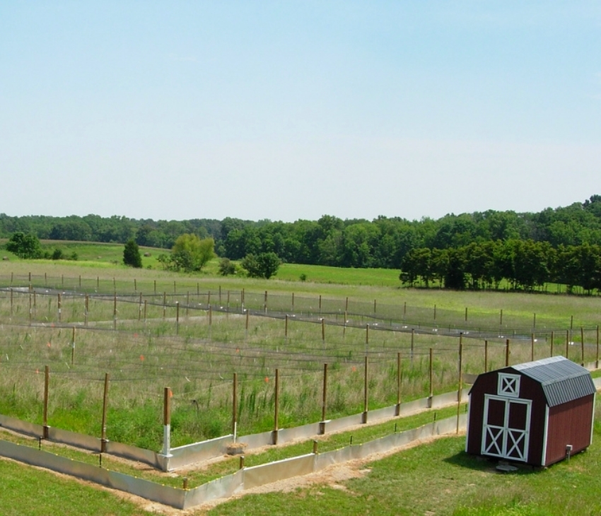 Our field enclosures in Illinois