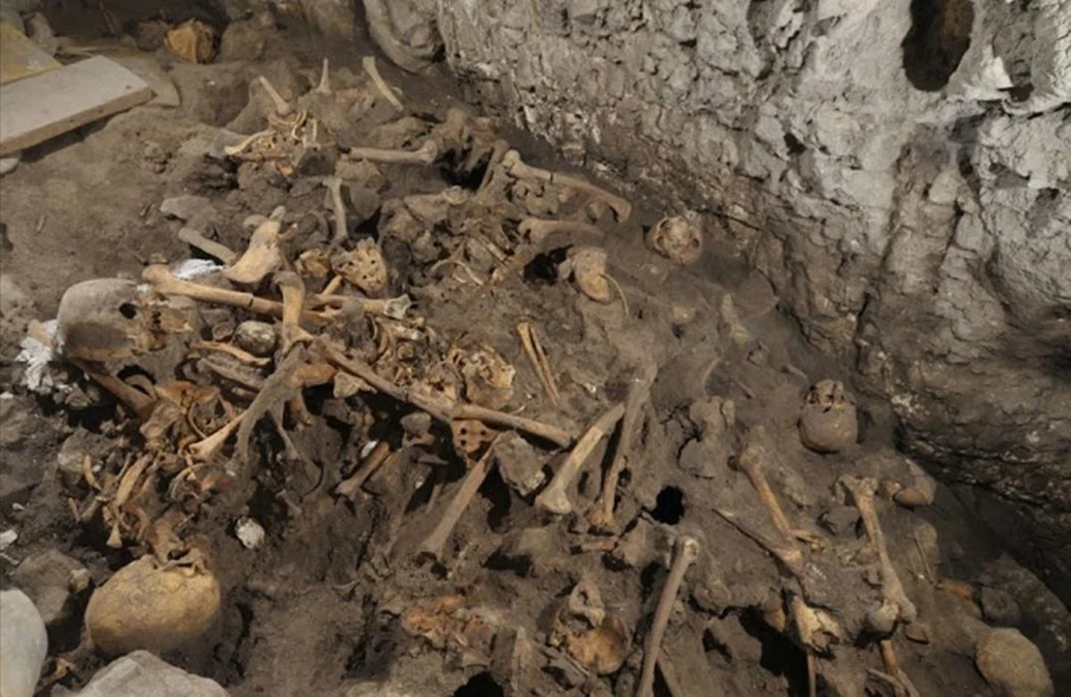 Bones at a dig in Atapuerca, near Burgos, Spain