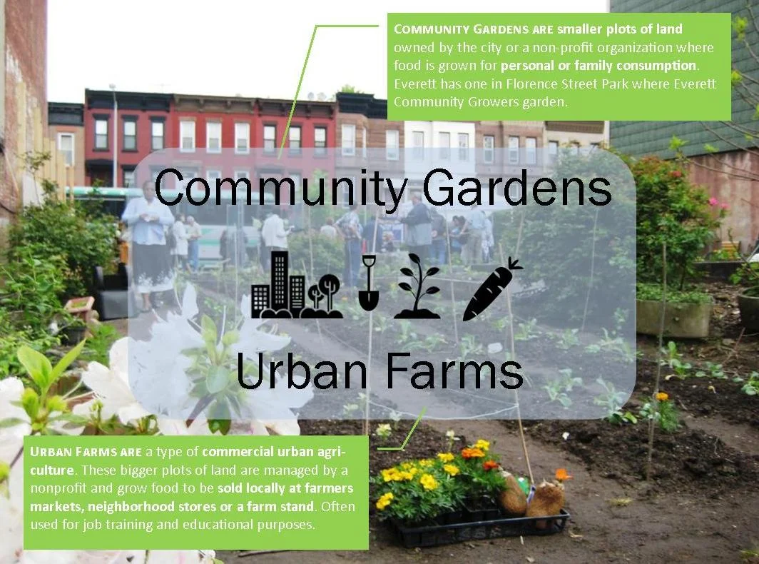 Community Gardens & Urban Farms