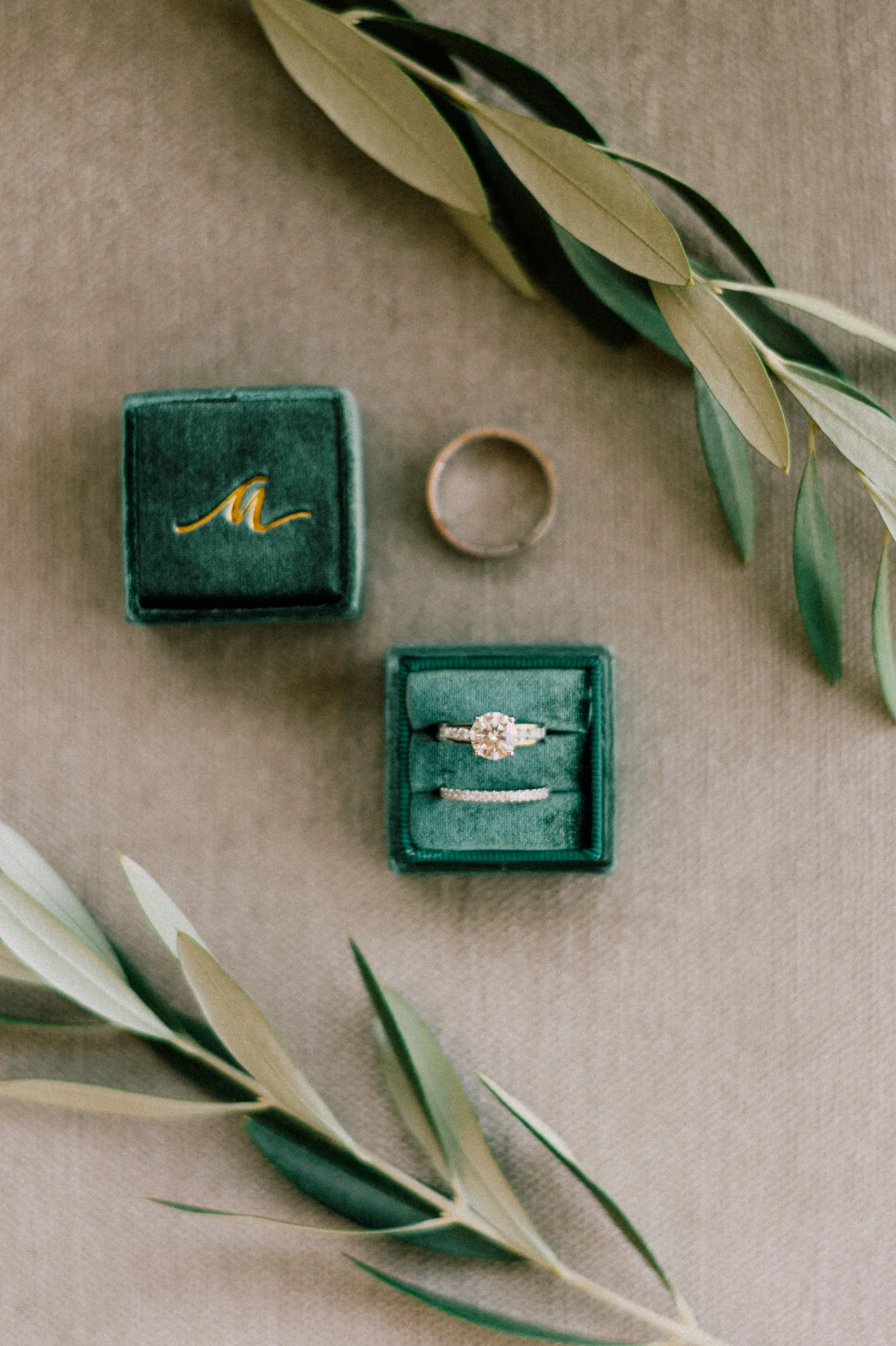 LevyWedding-6751.jpg