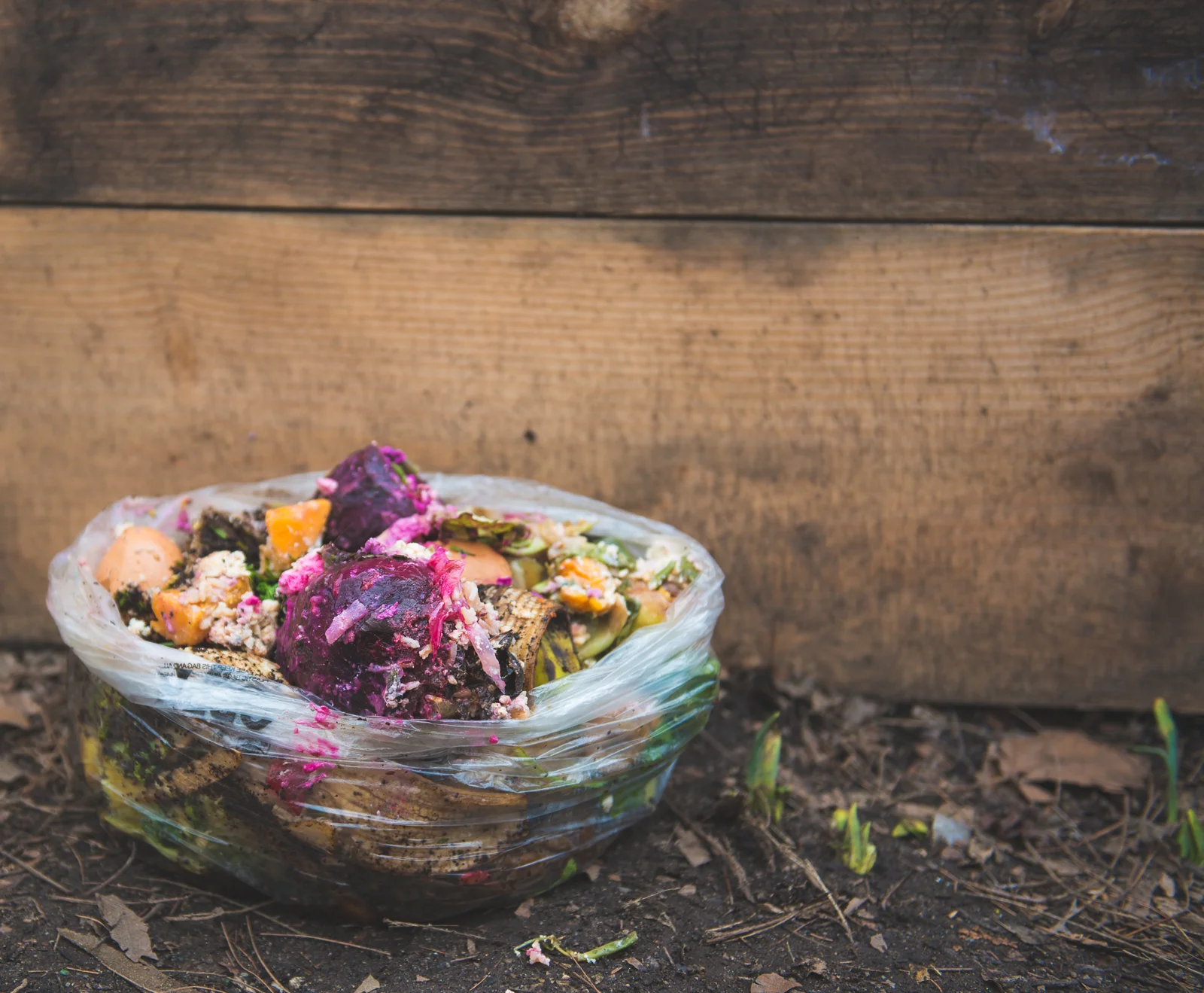 DanielaMullady_ReclaimedOrganics-112.jpg