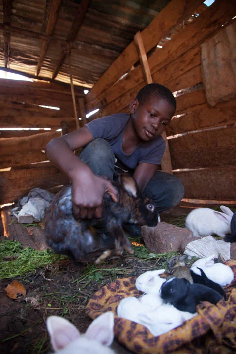 Rabbit project little babies.jpg