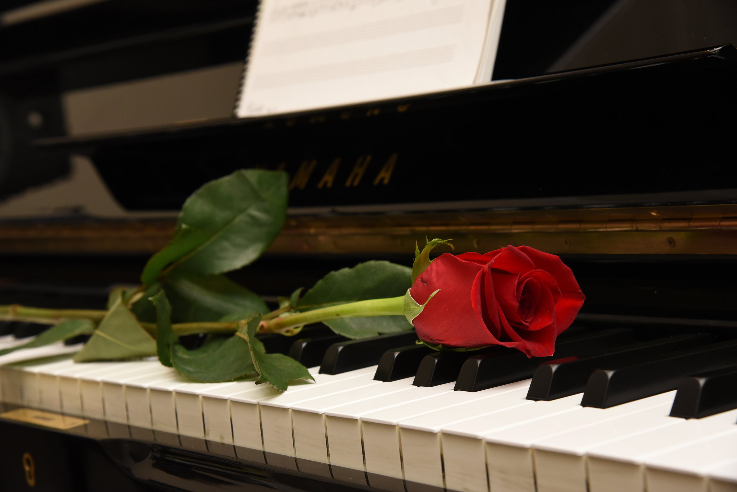 No chocolates. No flowers. Just some music from the heart.