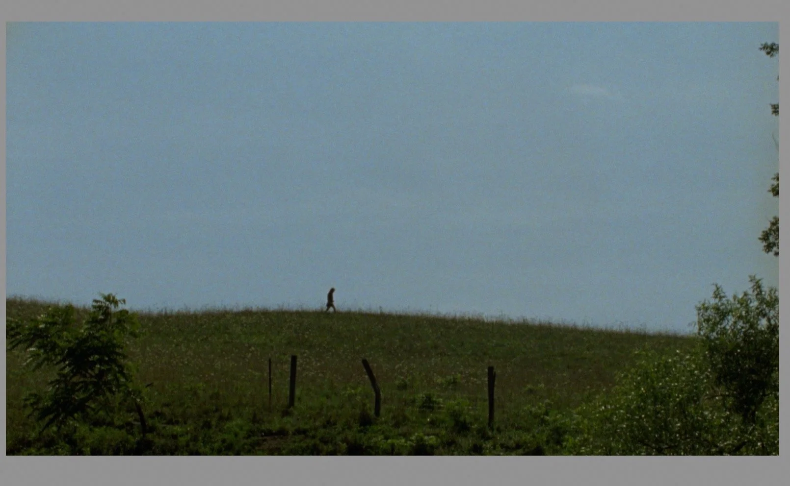 Screen Shot 2022-08-23 at 1.46.41 PM.JPEG