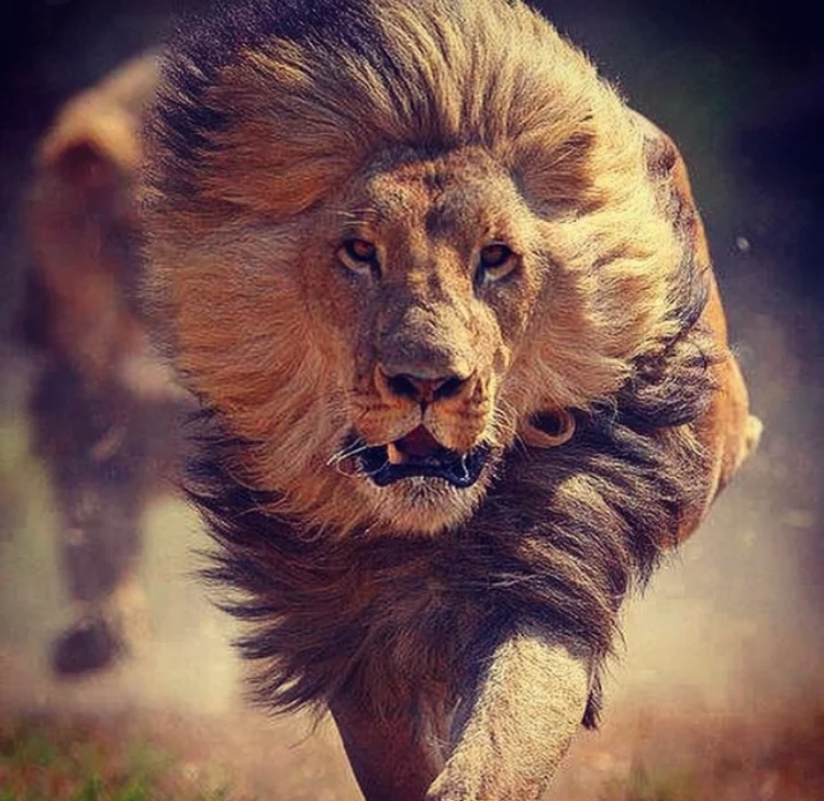 The Secret of Leadership...