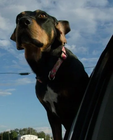 Lessons from Kiah...