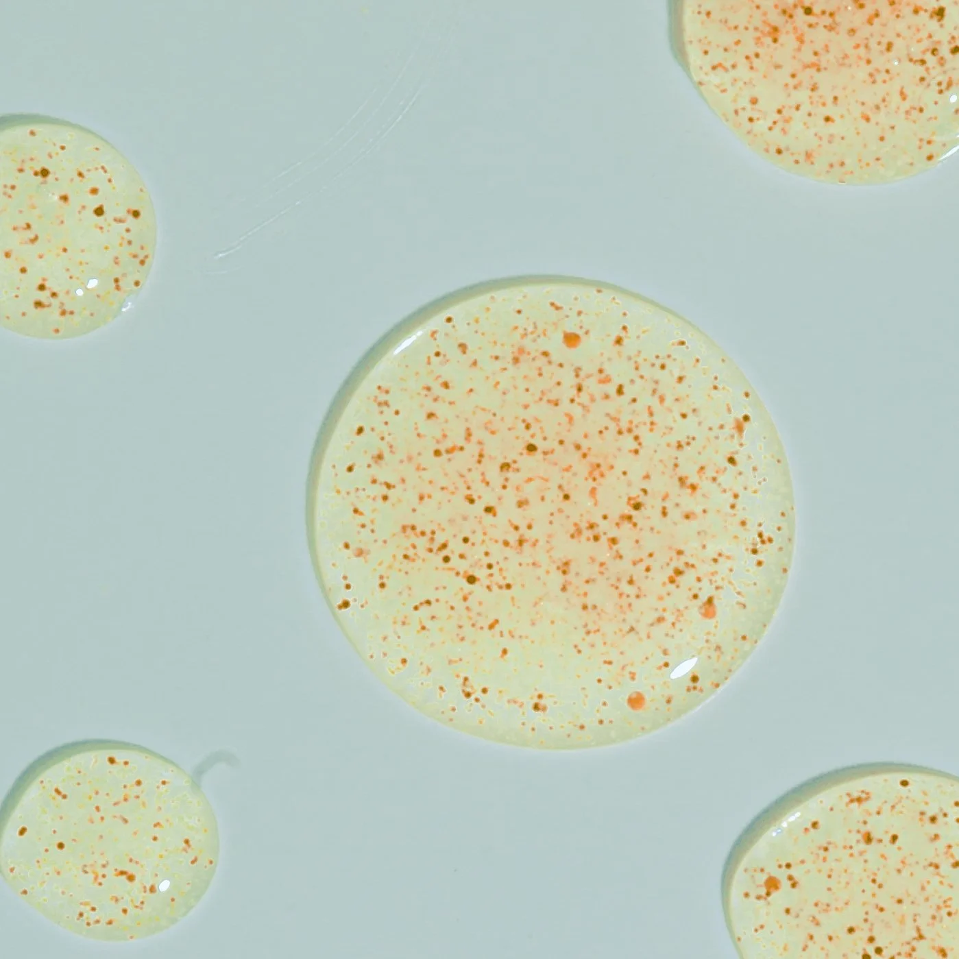 BEAUTY TEXTURES-25.JPG