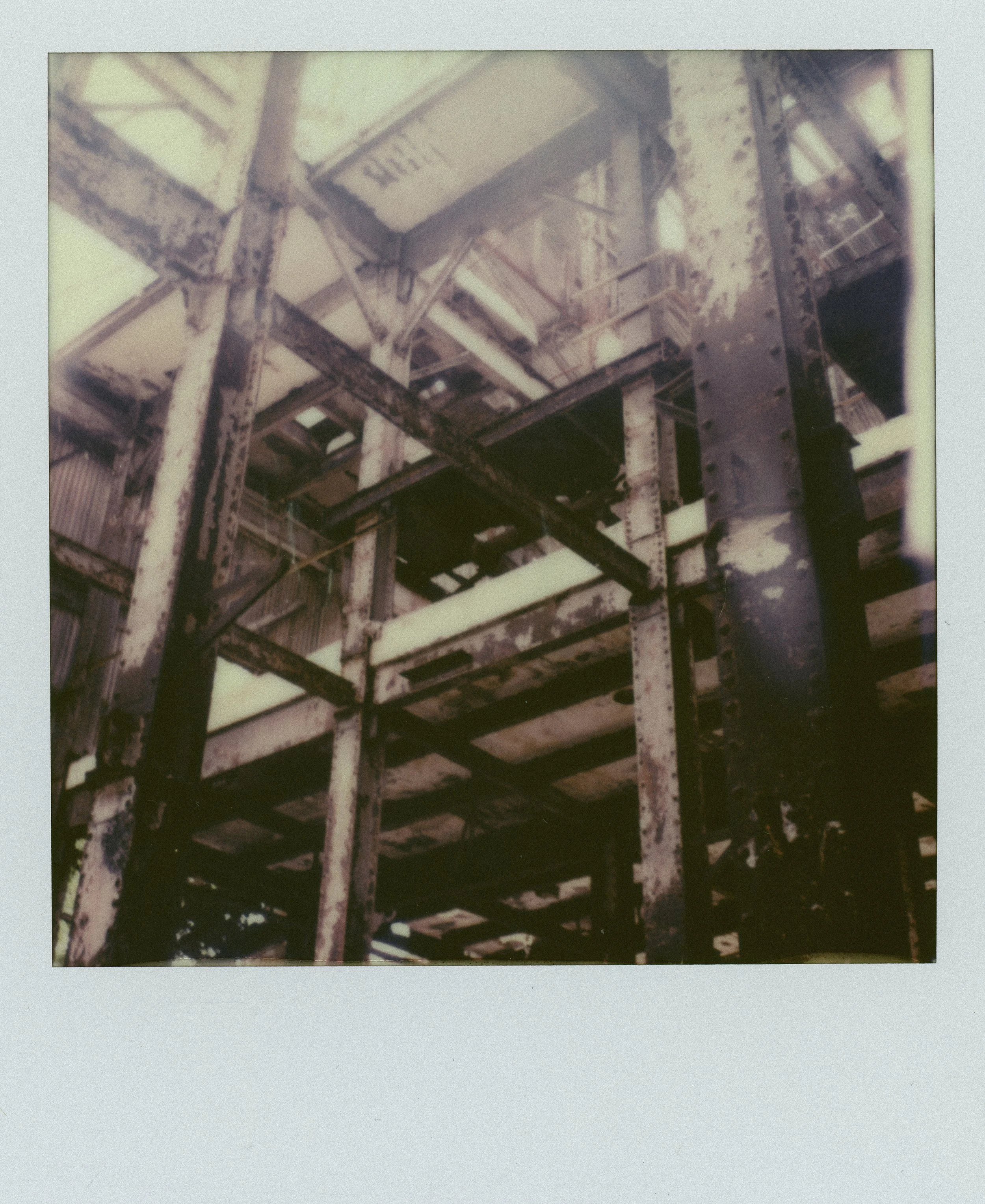 CPR-SX-70-POLAROID073.jpg