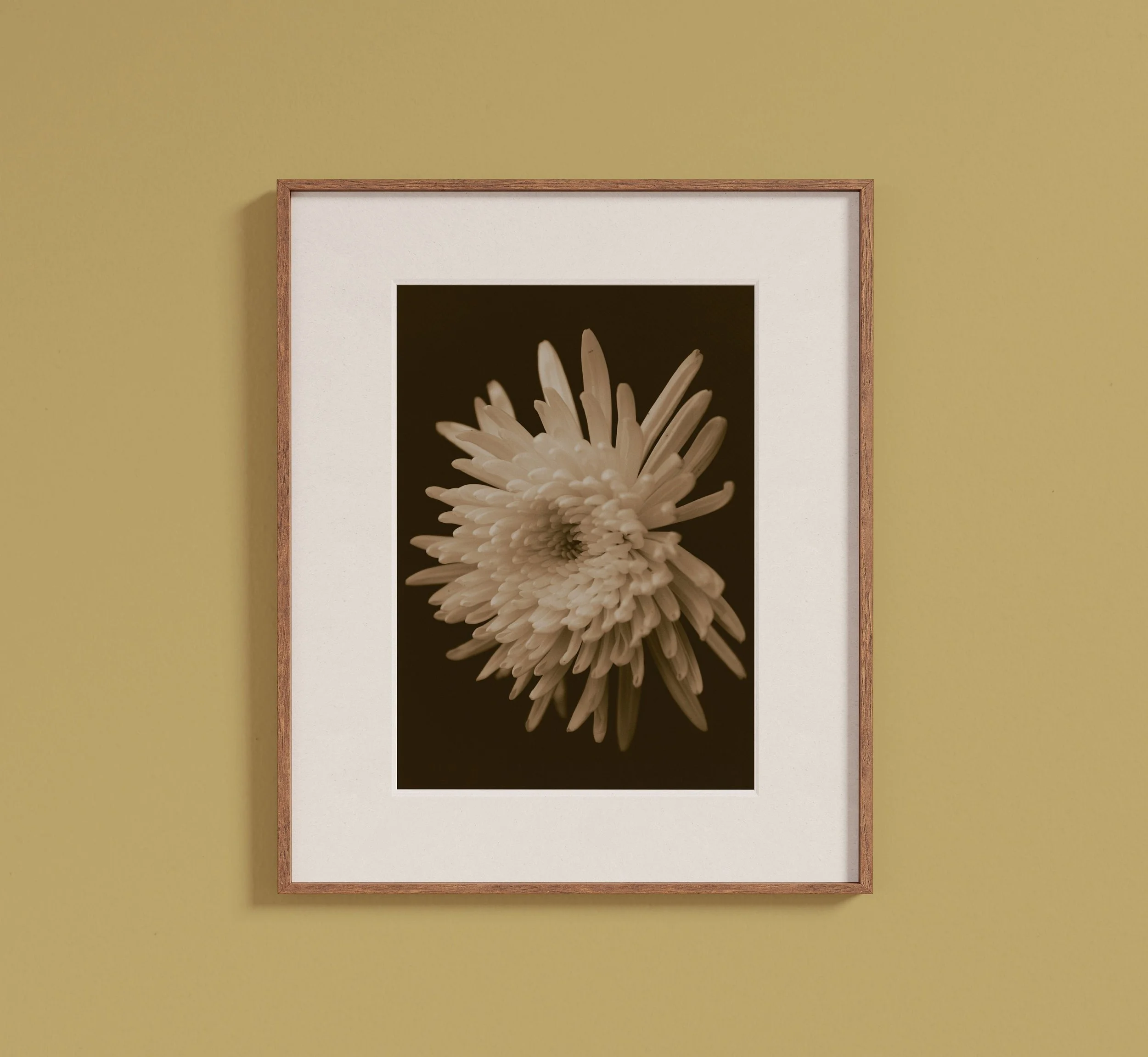 https://i.etsystatic.com/32698286/r/il/691ea9/6046943412/il_fullxfull.6046943412_7f29.jpg
