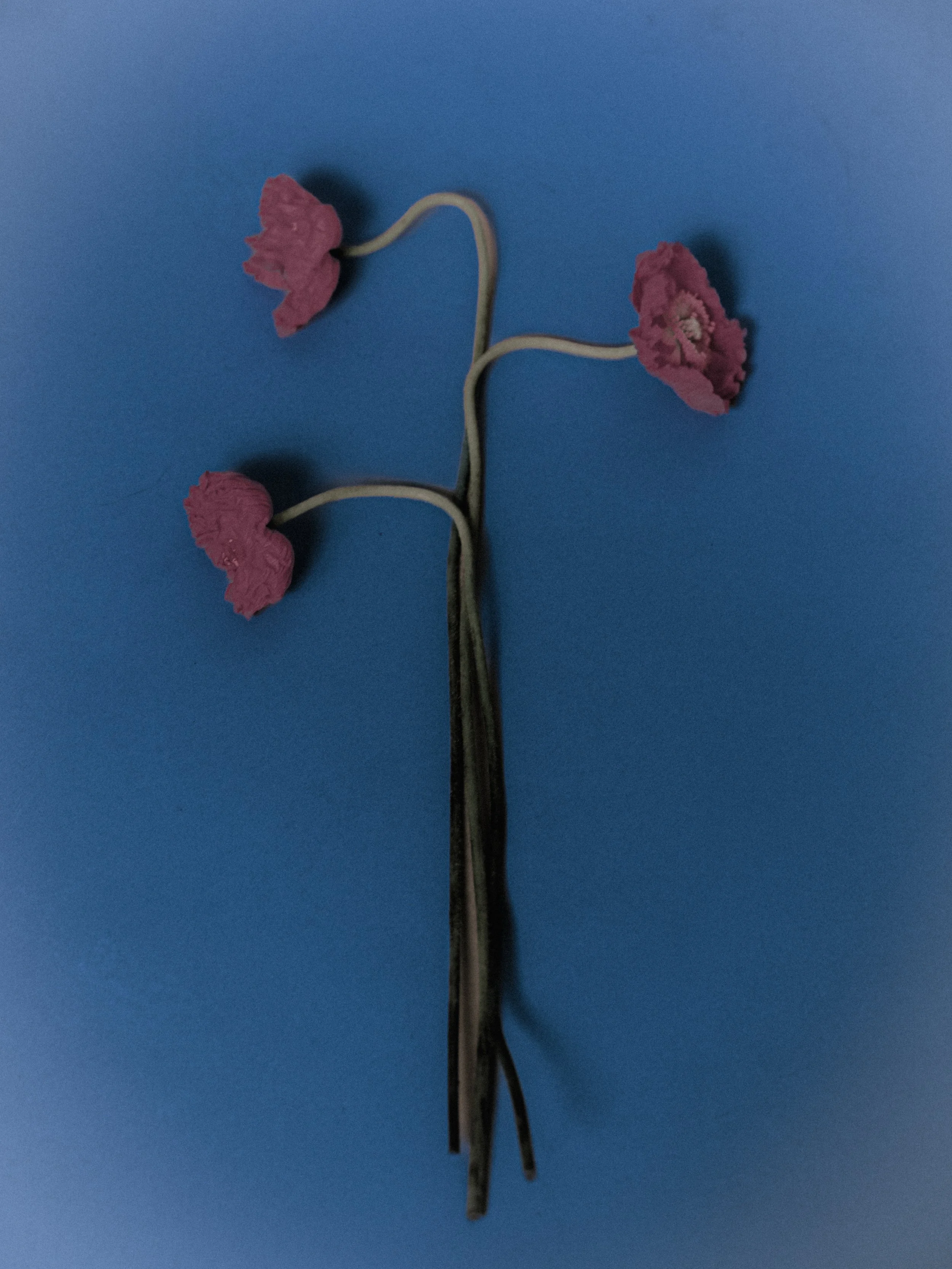 Dscene_Mariane Calazan__030.jpg