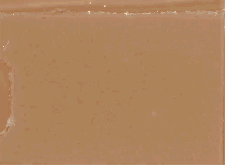 ANITA_1.gif