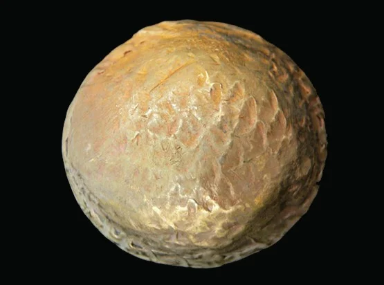 uvkppK46XXDs9uMk.jpg