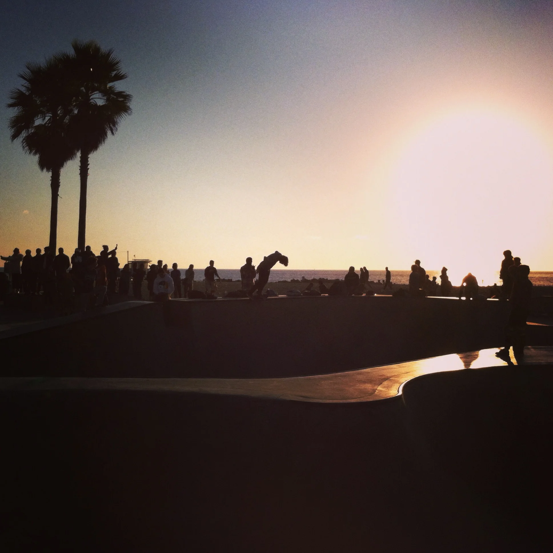 Venice Beach Skatepark, 1/1/15