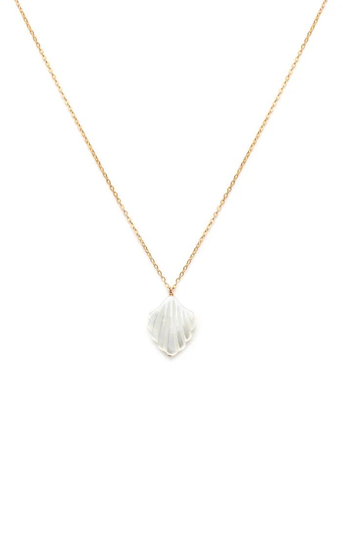 coquille.jpg