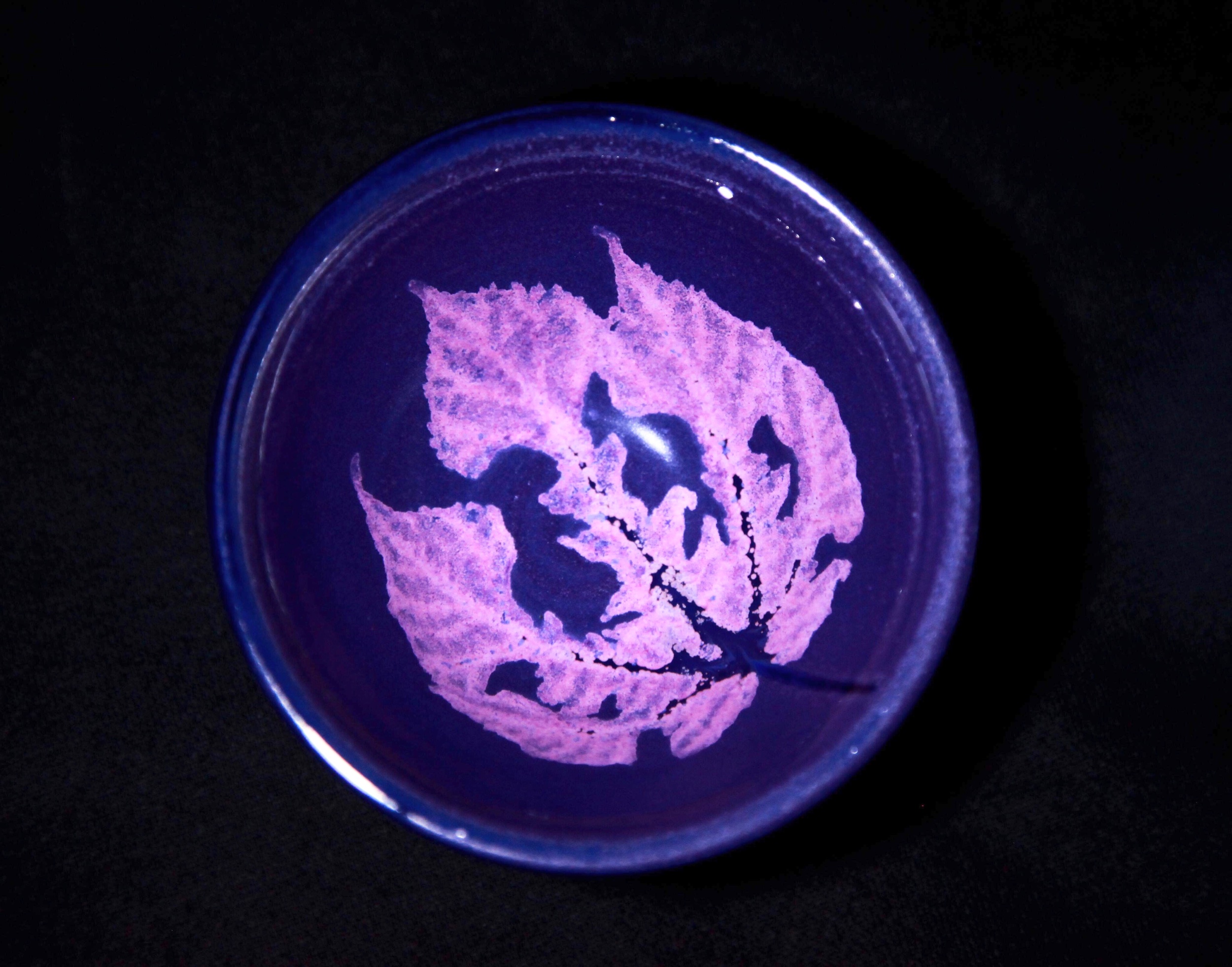 紫晶木葉茶碗 (構樹葉)