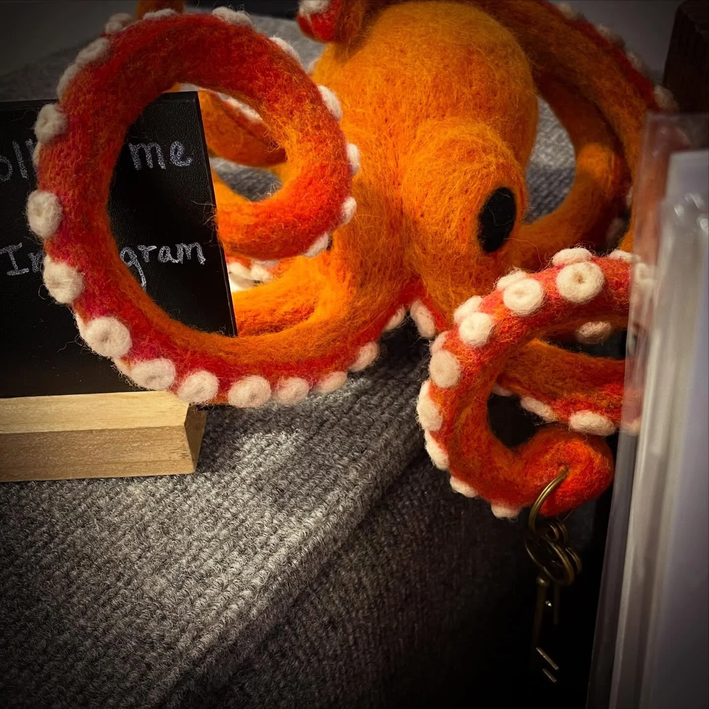 Day two, chilling at Oddmall with my booth buddy until 5:00!

#needlefeltedanimal #needlefeltedfriend #humanmadecontent #shopsmall #shophandmade