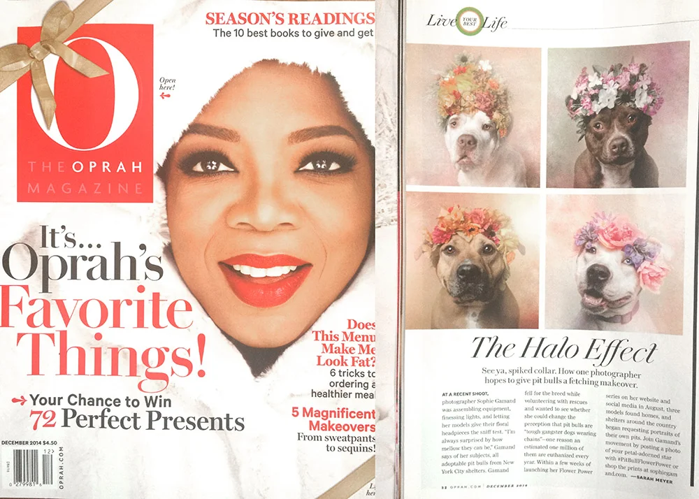 oprah3.jpg
