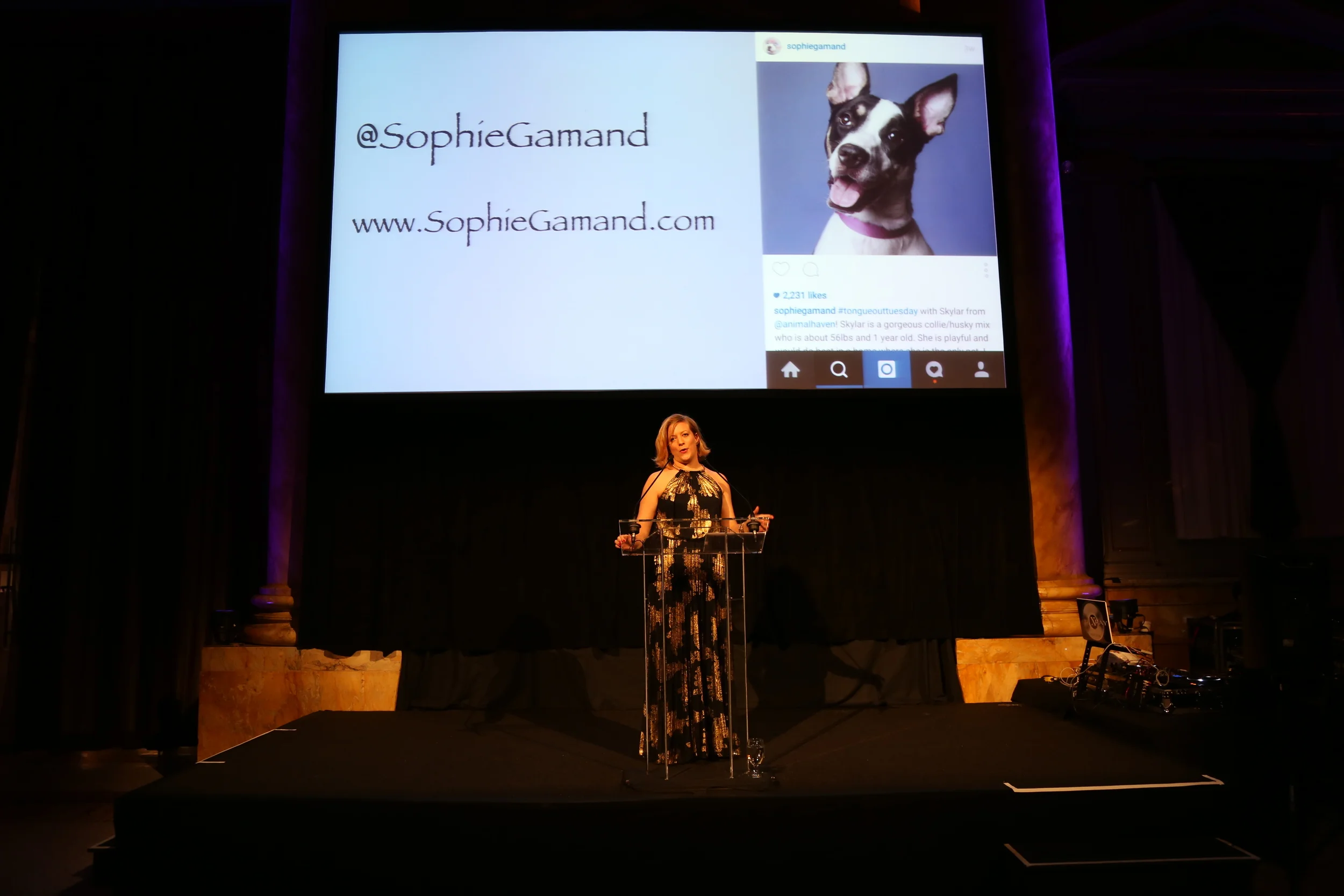 Animal Haven's benefit, June 2015