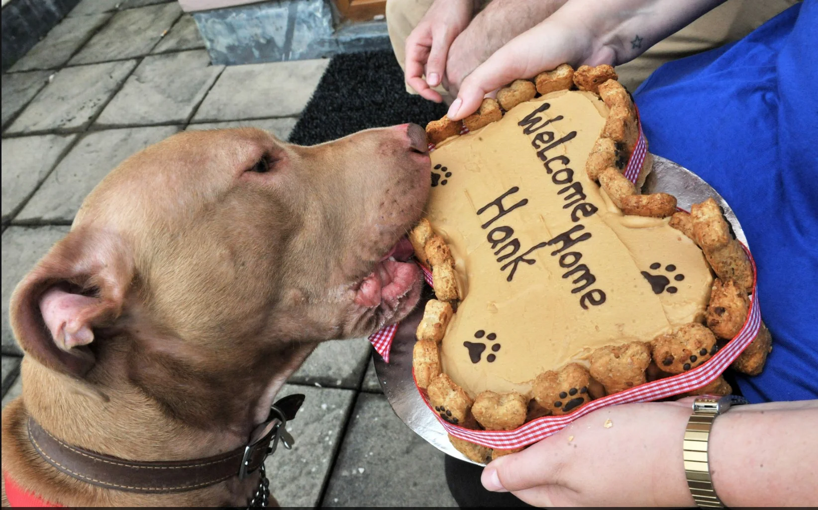 Hank and his "welcome home" cake. Photo: Alan Lewis.
