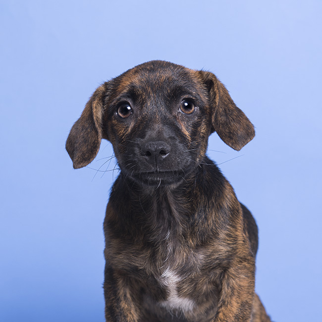 MacLovin safe! He is a cutie!