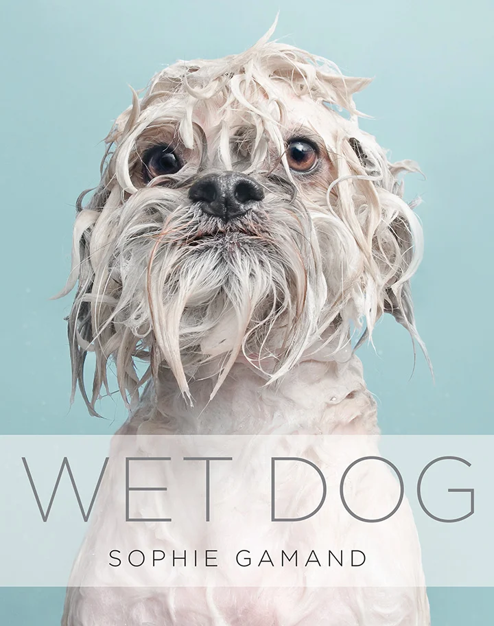 My Wet Dog book is still available! A compilation of miserable, soggy doggies. Get it on Amazon here .