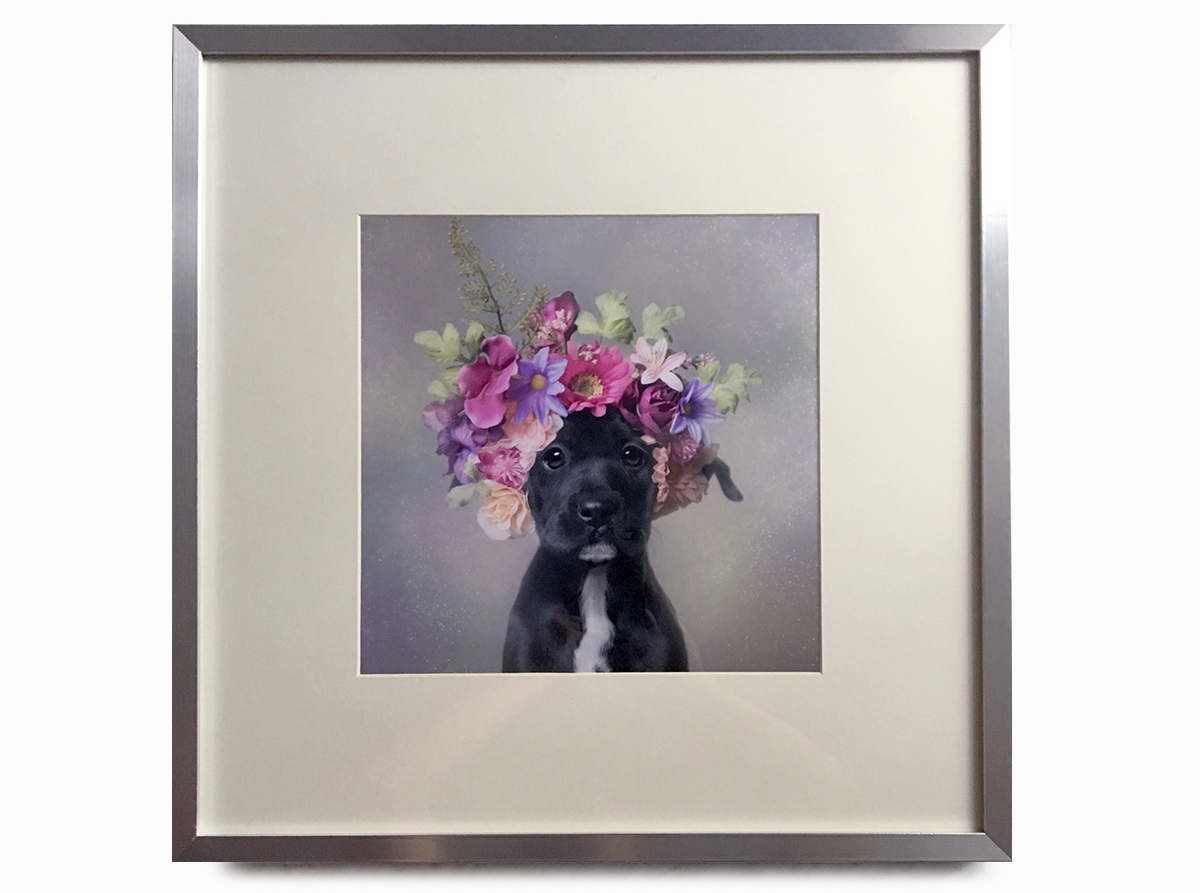 PRINTS: OPEN EDITIONS Sizes up to 16x16". Not framed. Contact me for more info.