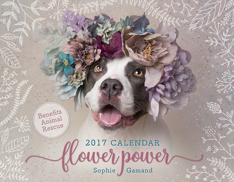 2017 Flower Power CoverL.jpg