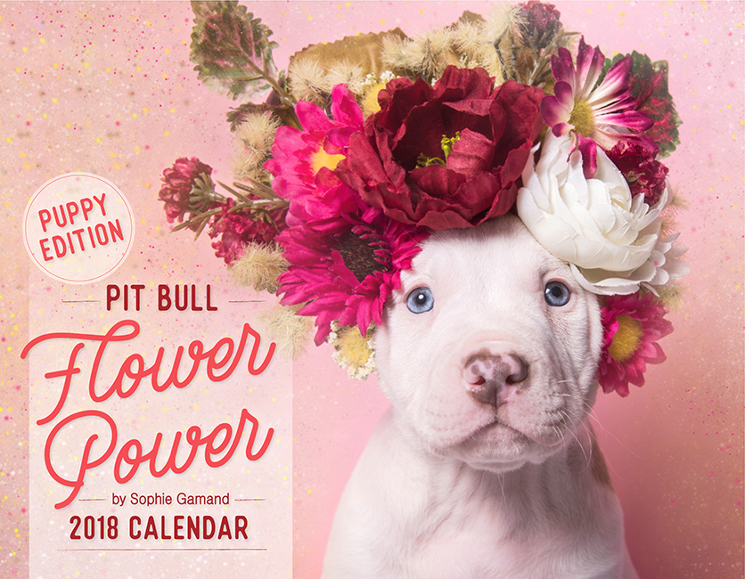Calendar-2018-puppyL.jpg