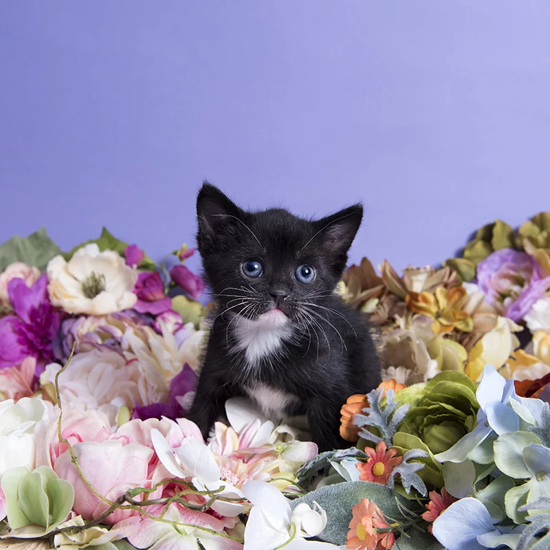 Max_DSC_6760.jpg